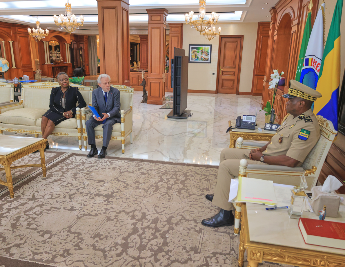 Rencontre entre le Chef de l’État gabonais et le PDG de TV5 Monde