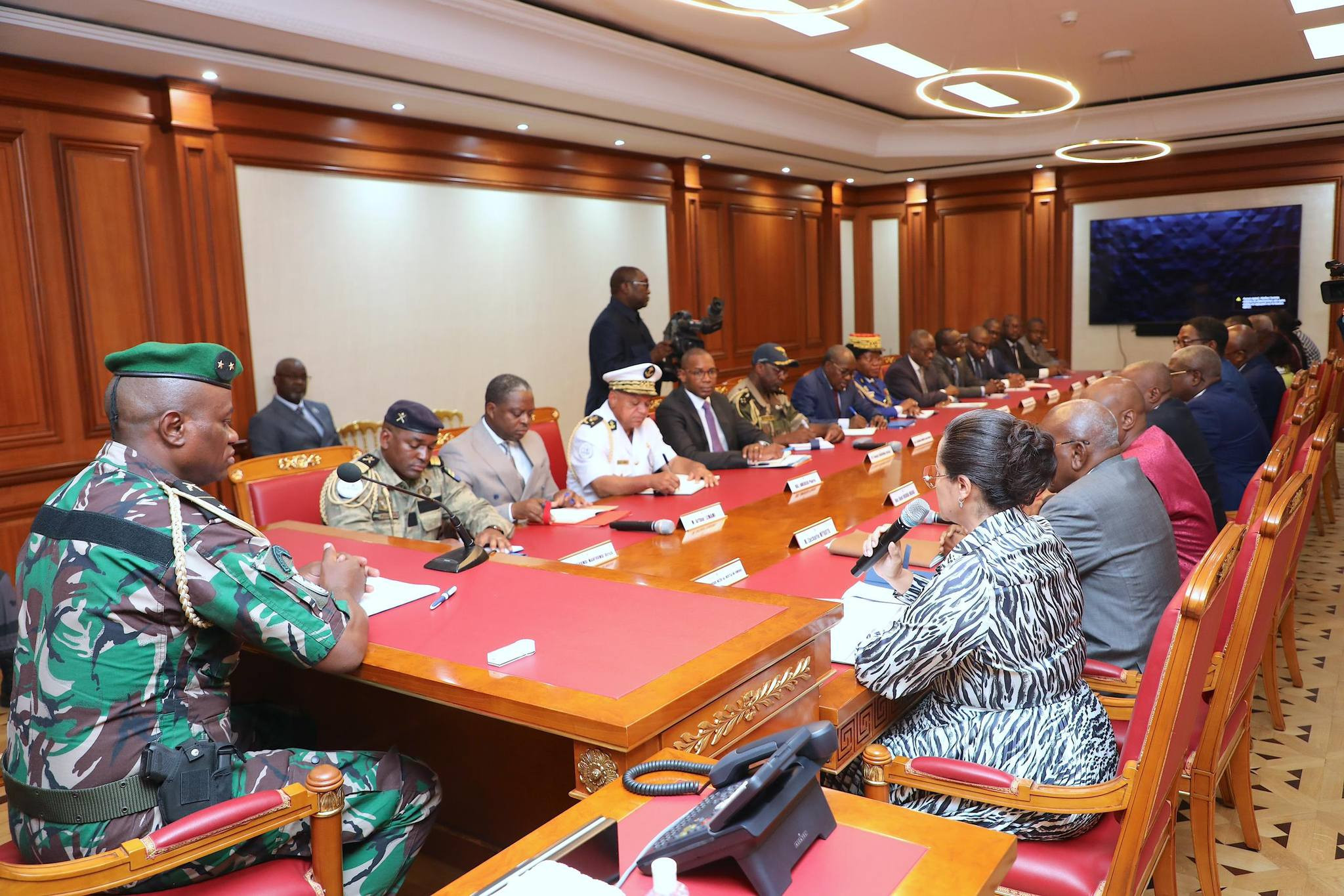 Présentation du projet de Constitution par le Comité Constitutionnel National