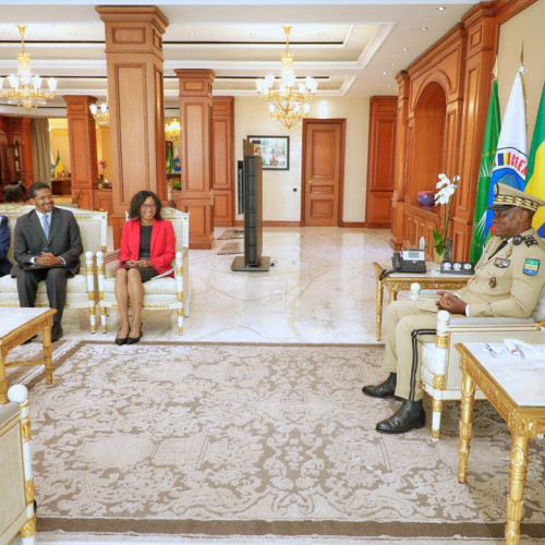 Le Président de la République et l’Ambassadrice Fitzpatrick Renforcent les Liens Gabon-USA